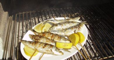 Le plein de protéines avec du thon et des sardines